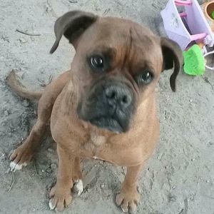 Meet your Posher, Ellen